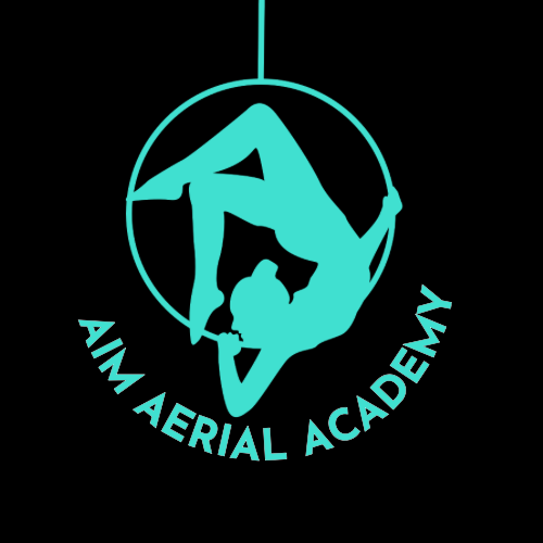AIM Aerial Academy