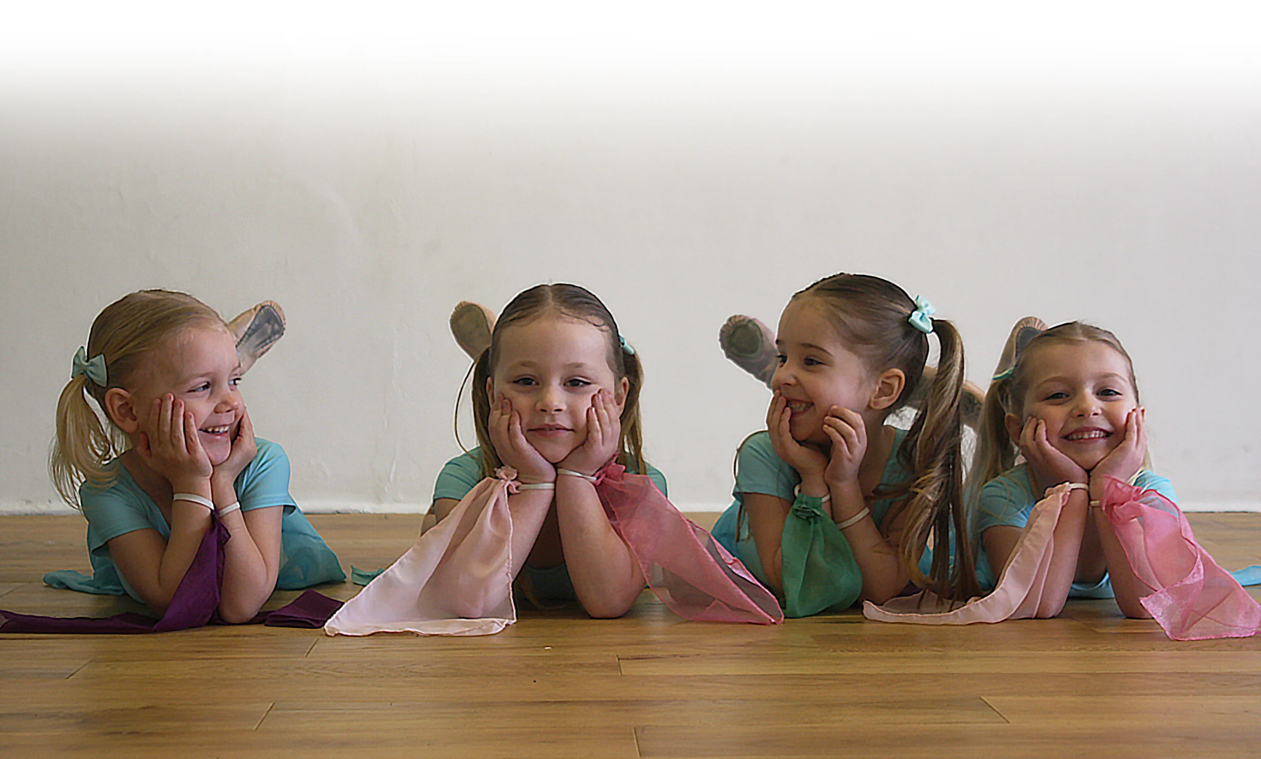 Artists In Motion Contact Us