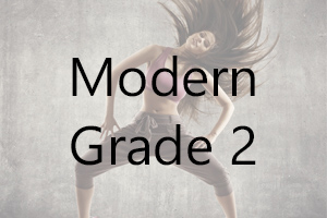 AIM Modern – Grade 2 Uniform