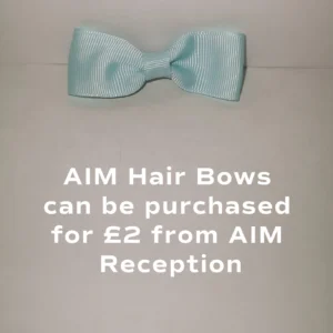AIM Hair Bow