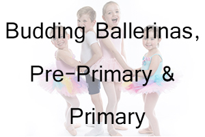 AIM Budding Ballerinas, Pre-Primary and Primary